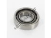 17305-SKF