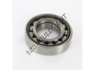 17305-SKF