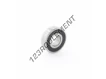 6001-RS1-SKF