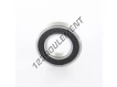 6005-2RSL-SKF