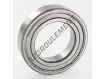 6009-2Z-SKF