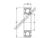 6009-C2-SKF
