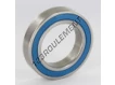 6010-2RS-INOX