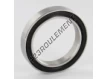 61806-2RS-INOX
