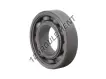 6206-ZZ-F604-SNR