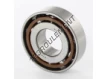AB44174S01-SNR