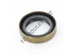 BC-24X35X8.50-NBR