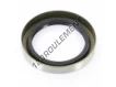 BC-62X85X13-NBR