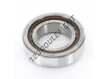 BT1-0176-Q-SKF