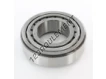 HM212044-HM212011-ASFERSA