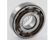 N305-ECP-SKF