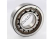 NJ309-ECP-SKF