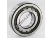 NUP207-ECP-SKF