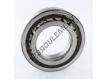 NUP214-SKF