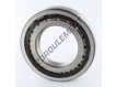 NUP214-SKF