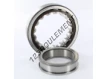 NUP214-SKF