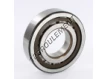 NUP310-ECP-SKF