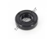 OAS-10X22X6-NBR