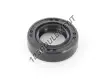 OAS-12.500X22X6-NBR