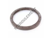 OAS-125X150X13-FPM