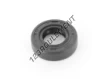 OAS-13X25X7-NBR