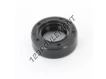 OAS-17X30X10-NBR
