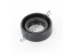 OAS-17X30X10-NBR