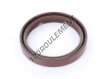 OAS-55X68X10-FPM