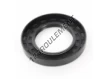 OAS-60X100X13-NBR