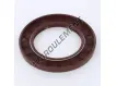 OAS-70X110X10-FPM
