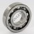 RLS9-SKF