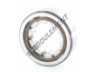 RNU304-ECP-SKF