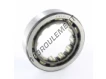 RNU310-SKF
