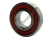 S-6004-2RS-FDA-PTI