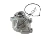 VKPC81307-SKF