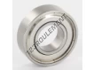 W6002-2Z-SKF